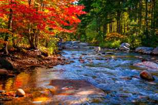 Jefferson Brook-9720 copy.jpg Jefferson Brook-9720 copy.jpg